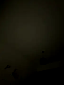 1Aleks13 online show from 11/12/25, 01:39