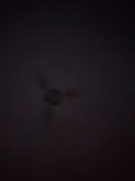 1Aleks13 online show from 11/25/25, 10:54