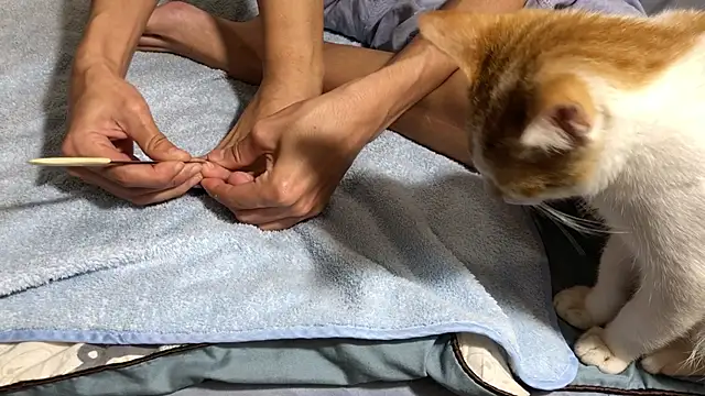 RiderFloor online show from 02/08/26, 08:12