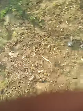 FinableKnee online show from 10/27/25, 05:11