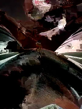 FinableKnee online show from 11/17/25, 03:56