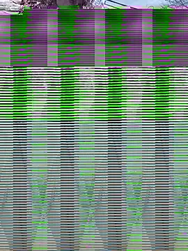 Snapshot of Alicbranca chatting on 09/17/25, 04:41 Alicbranca online show from 09/17/25, 04:41