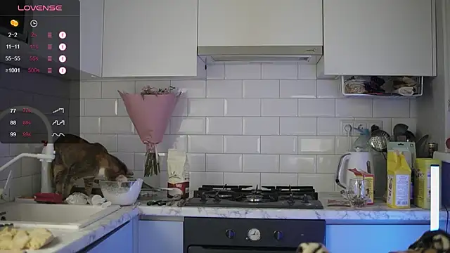 melanielwithu online show from 12/13/24, 09:41