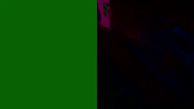 PUSSYundBAER online show from 12/21/25, 01:57