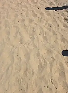 Trucker Hunter online show from 09/28/25, 02:22