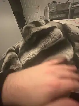 Snapshot of Furdale chatting on 12/07/24, 09:33 Furdale online show from 12/07/24, 09:33