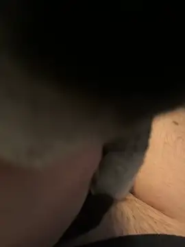 Snapshot of Furdale chatting on 12/16/24, 01:11 Furdale online show from 12/16/24, 01:11