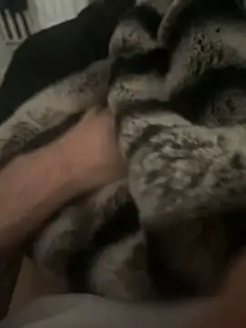 Snapshot of Furdale chatting on 12/17/24, 12:43 Furdale online show from 12/17/24, 12:43