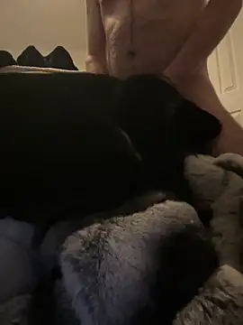 Snapshot of Furdale chatting on 12/30/24, 03:35 Furdale online show from 12/30/24, 03:35