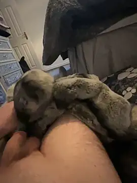 Snapshot of Furdale chatting on 01/01/25, 03:46 Furdale online show from 01/01/25, 03:46