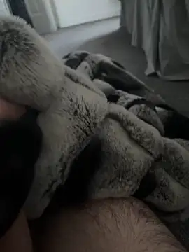 Snapshot of Furdale chatting on 01/07/25, 10:43 Furdale online show from 01/07/25, 10:43