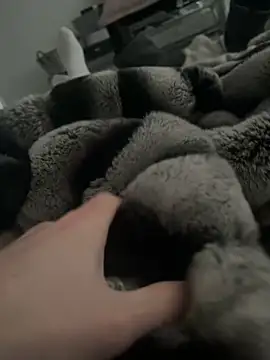 Snapshot of Furdale chatting on 01/09/25, 02:51 Furdale online show from 01/09/25, 02:51