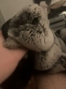 Snapshot of Furdale chatting on 01/24/25, 06:04 Furdale online show from 01/24/25, 06:04