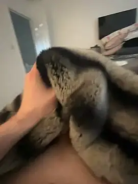 Snapshot of Furdale chatting on 02/08/25, 09:46 Furdale online show from 02/08/25, 09:46