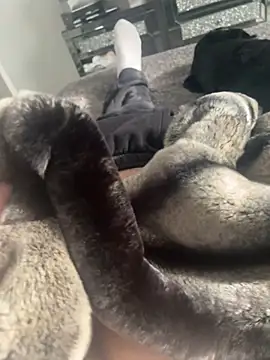 Snapshot of Furdale chatting on 02/22/25, 01:24 Furdale online show from 02/22/25, 01:24