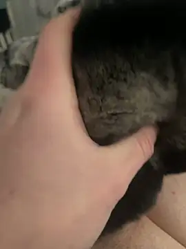 Snapshot of Furdale chatting on 02/24/25, 01:21 Furdale online show from 02/24/25, 01:21