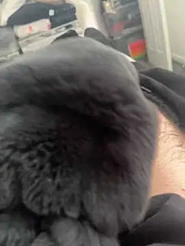 Snapshot of Furdale chatting on 03/14/25, 11:12 Furdale online show from 03/14/25, 11:12