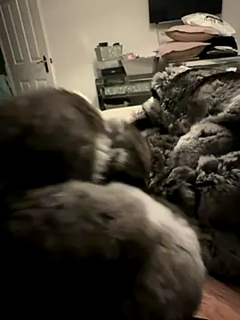 Furdale online show from 11/24/25, 04:40