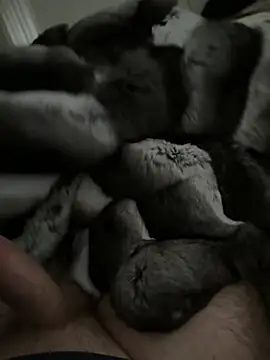 Furdale online show from 01/14/26, 02:44