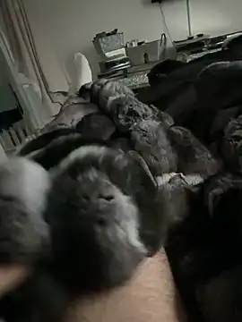 Furdale online show from 02/24/26, 04:49