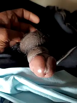 malluflash online show from 11/29/25, 04:04