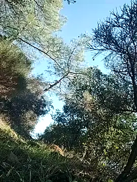 Poyraz6996 online show from 11/14/25, 11:53