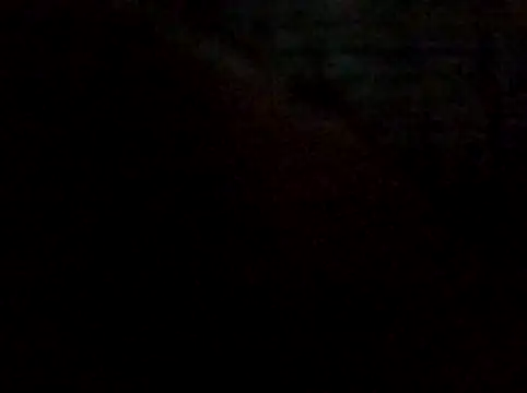 rodovlaz online show from 01/07/26, 11:40