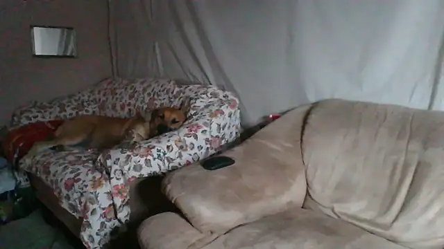 xykenrah48 online show from 03/18/26, 01:20