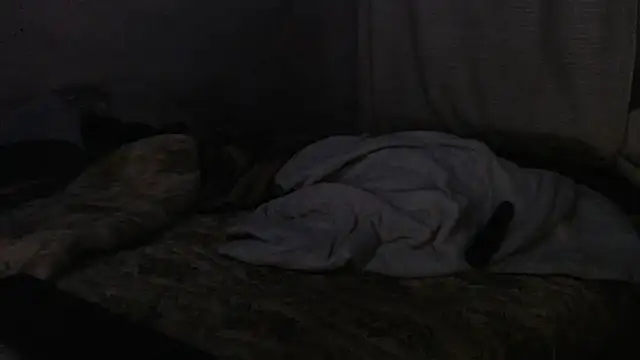 devine TATAS online show from 09/16/25, 07:26