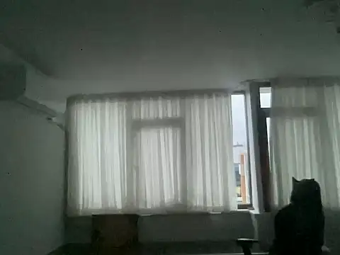 Snapshot of ALPHANDRE chatting on 03/16/25, 04:12 ALPHANDRE online show from 03/16/25, 04:12