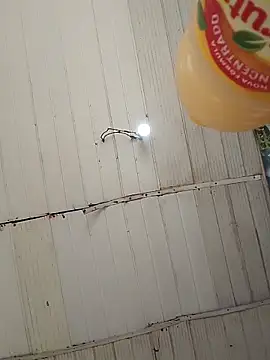 Kanekki2 online show from 03/27/26, 12:49