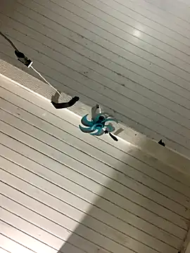 raphadoors19 online show from 12/17/25, 04:07