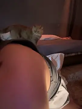 Bastet online show from 01/14/25, 09:51