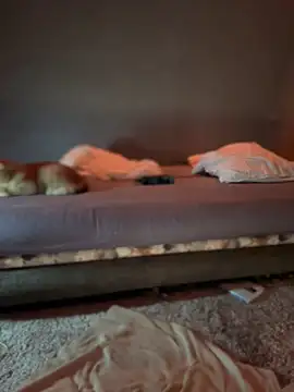 Bastet online show from 01/15/25, 07:34