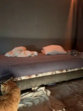 Bastet online show from 01/16/25, 07:31