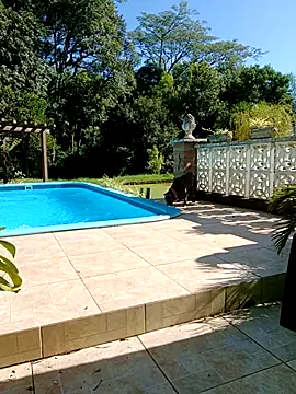 dutra498 online show from 02/09/26, 07:18