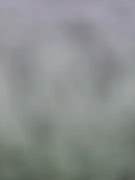 fuckineverett online show from 03/15/25, 03:48