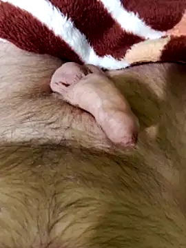 Robertvirt online show from 02/16/26, 11:06