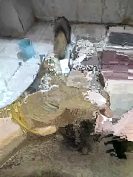 Snapshot of My120my120 chatting on 12/19/25, 11:56 My120my120 online show from 12/19/25, 11:56