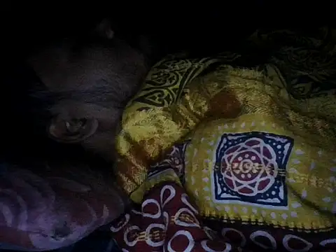 chittagong77 online show from 12/13/25, 09:53