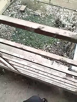 chittagong77 online show from 02/22/26, 09:52