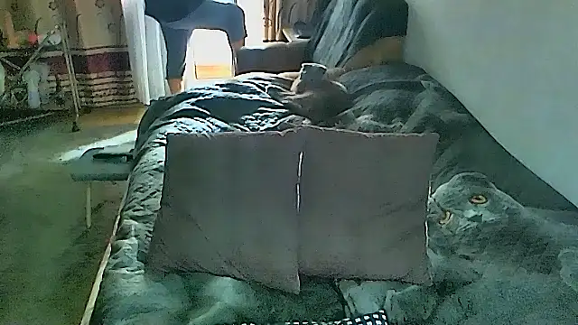 sex2 online show from 03/08/26, 02:04