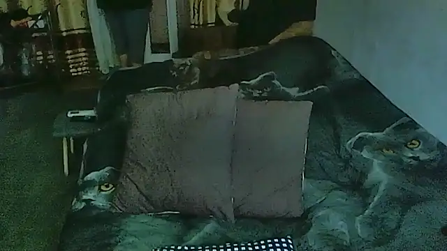 sex2 online show from 03/30/26, 12:11