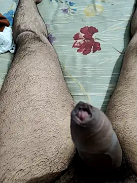 Snapshot of vishnuvinod_india chatting on 11/15/25, 02:13 vishnuvinod india online show from 11/15/25, 02:13