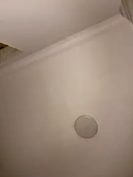 Drkats online show from 03/18/26, 01:53