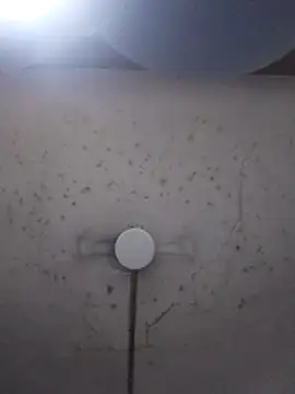 marie12345679 online show from 02/26/26, 01:15