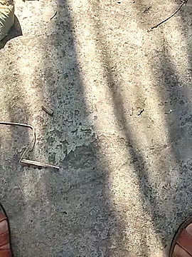 Snapshot of Pitercom chatting on 11/12/25, 09:10 Pitercom online show from 11/12/25, 09:10