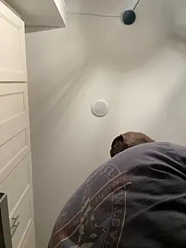 smokeymt420 online show from 10/05/25, 04:33