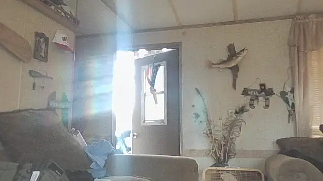 Snapshot of Yankeedave420 chatting on 11/19/25, 06:08 Yankeedave420 online show from 11/19/25, 06:08