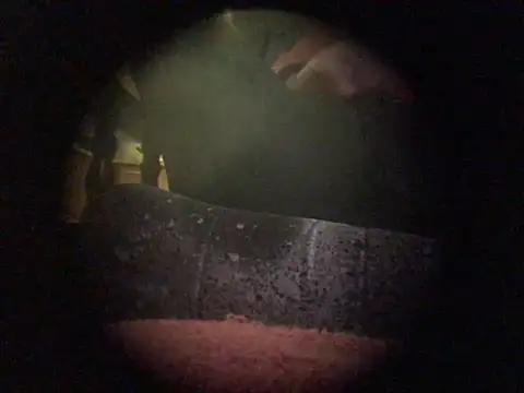 Snapshot of translove chatting on 12/09/24, 07:50 translove online show from 12/09/24, 07:50